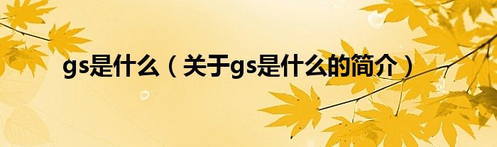 gs是什么（關于gs是什么的簡介）