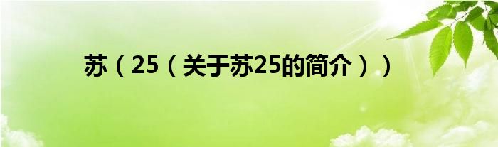 蘇（25（關于蘇25的簡介））