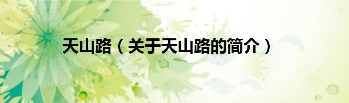 天山路（關于天山路的簡介）