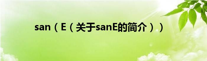 san（E（關于sanE的簡介））