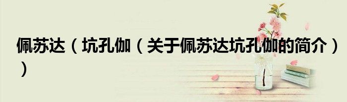 佩蘇達（坑孔伽（關于佩蘇達坑孔伽的簡介））