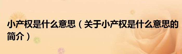 小產權是什么意思（關于小產權是什么意思的簡介）