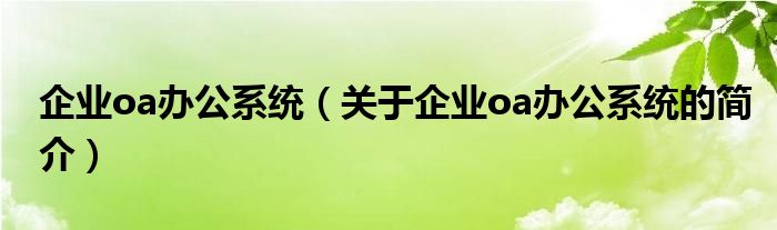 企業(yè)oa辦公系統(tǒng)（關(guān)于企業(yè)oa辦公系統(tǒng)的簡(jiǎn)介）