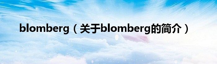 blomberg（關于blomberg的簡介）
