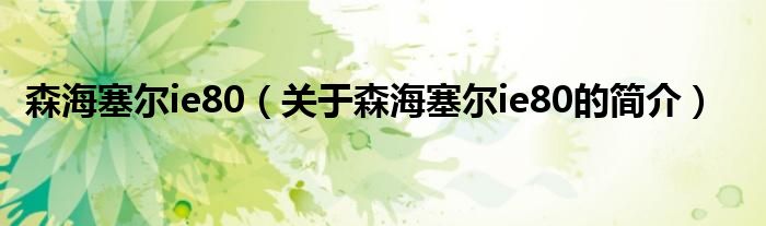 森海塞爾ie80（關于森海塞爾ie80的簡介）