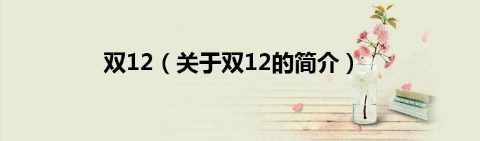 雙12（關(guān)于雙12的簡介）