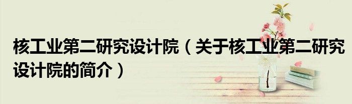 核工業第二研究設計院（關于核工業第二研究設計院的簡介）