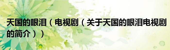 天國的眼淚（電視劇（關于天國的眼淚電視劇的簡介））