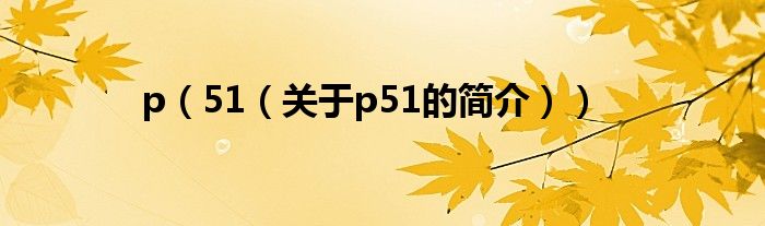 p（51（關于p51的簡介））