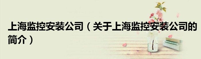 上海監控安裝公司（關于上海監控安裝公司的簡介）