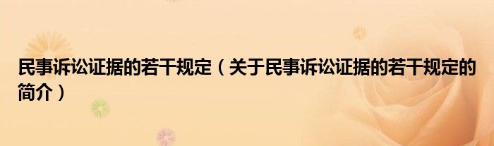 民事訴訟證據的若干規定（關于民事訴訟證據的若干規定的簡介）
