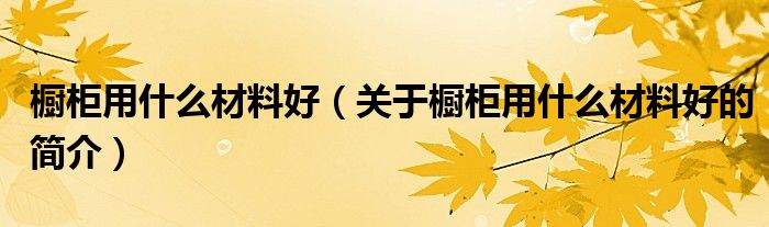 櫥柜用什么材料好（關于櫥柜用什么材料好的簡介）