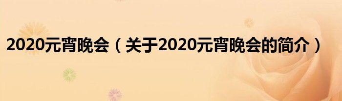 2020元宵晚會（關于2020元宵晚會的簡介）