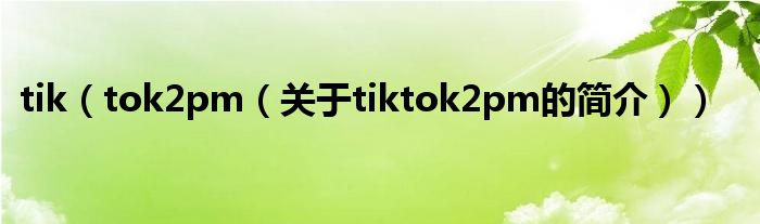 tik（tok2pm（關于tiktok2pm的簡介））
