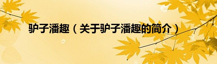 驢子潘趣（關于驢子潘趣的簡介）