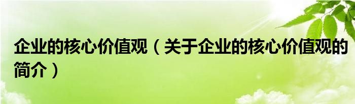 企業的核心價值觀（關于企業的核心價值觀的簡介）