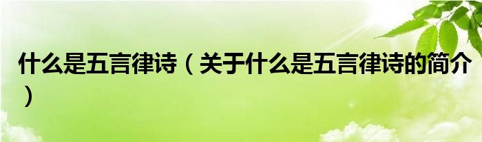 什么是五言律詩（關于什么是五言律詩的簡介）