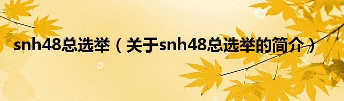 snh48總選舉（關于snh48總選舉的簡介）