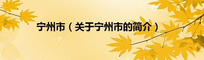 寧州市（關于寧州市的簡介）