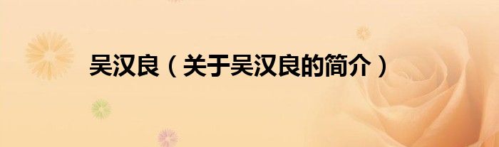 吳漢良（關于吳漢良的簡介）