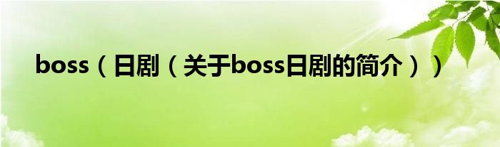 boss（日劇（關于boss日劇的簡介））