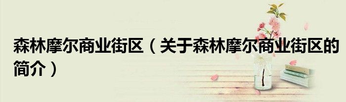 森林摩爾商業街區（關于森林摩爾商業街區的簡介）