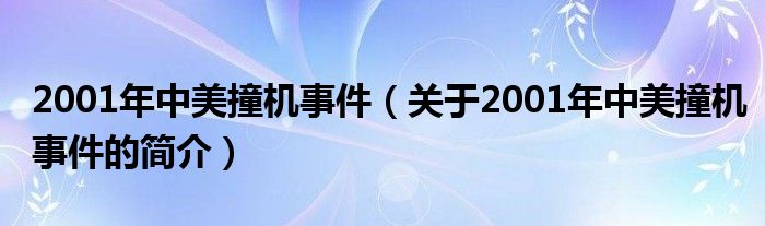 2001年中美撞機事件（關于2001年中美撞機事件的簡介）