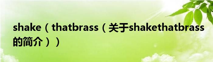 shake（thatbrass（關于shakethatbrass的簡介））