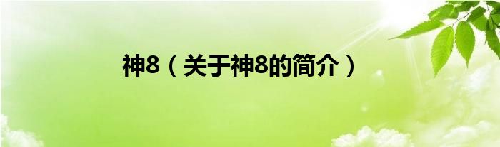 神8（關于神8的簡介）