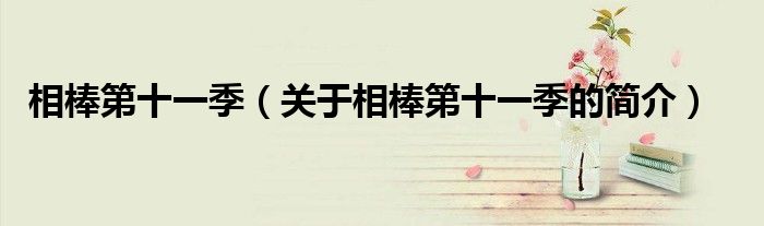 相棒第十一季（關于相棒第十一季的簡介）