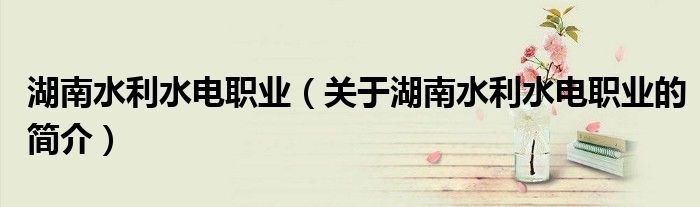 湖南水利水電職業（關于湖南水利水電職業的簡介）