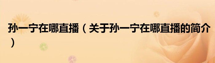 孫一寧在哪直播（關于孫一寧在哪直播的簡介）