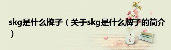 skg是什么牌子（關于skg是什么牌子的簡介）