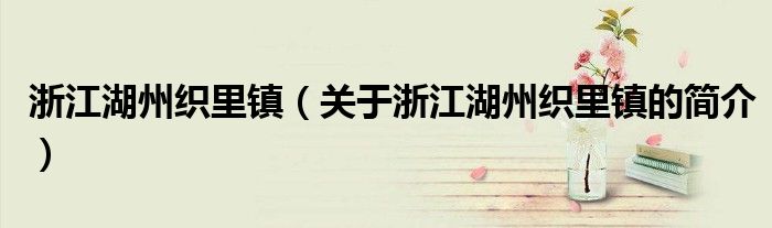 浙江湖州織里鎮（關于浙江湖州織里鎮的簡介）