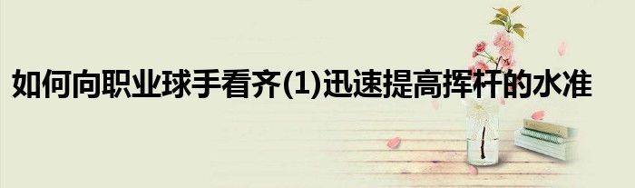 如何向職業球手看齊(1)迅速提高揮桿的水準