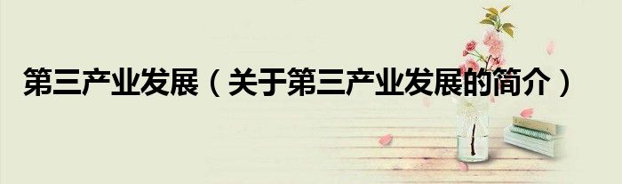 第三產業發展（關于第三產業發展的簡介）