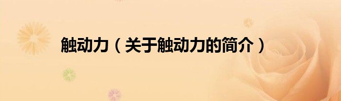 觸動力（關于觸動力的簡介）