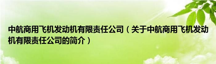 中航商用飛機發動機有限責任公司（關于中航商用飛機發動機有限責任公司的簡介）