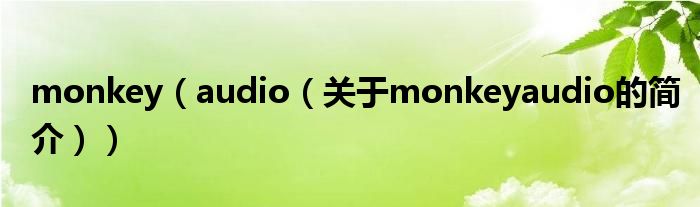 monkey（audio（關于monkeyaudio的簡介））