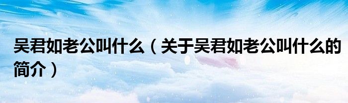 吳君如老公叫什么（關于吳君如老公叫什么的簡介）