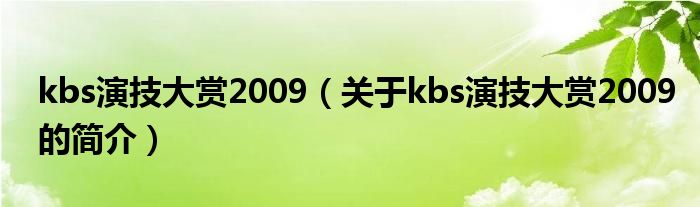 kbs演技大賞2009（關于kbs演技大賞2009的簡介）