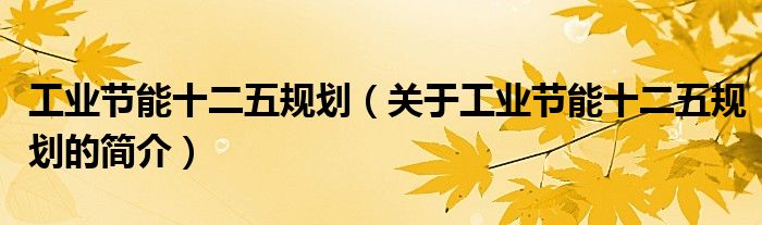 工業節能十二五規劃（關于工業節能十二五規劃的簡介）