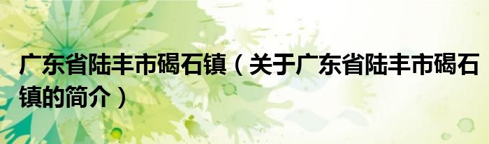 廣東省陸豐市碣石鎮（關于廣東省陸豐市碣石鎮的簡介）