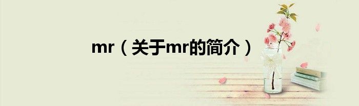 mr（關于mr的簡介）