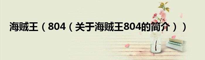 海賊王（804（關于海賊王804的簡介））