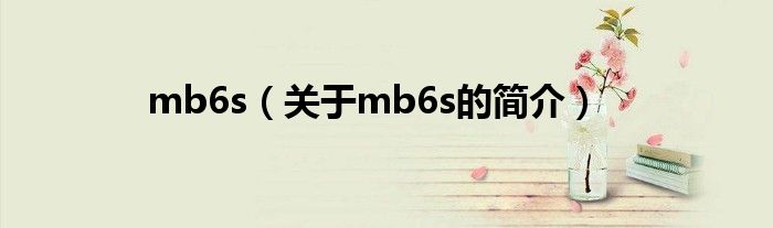 mb6s（關于mb6s的簡介）