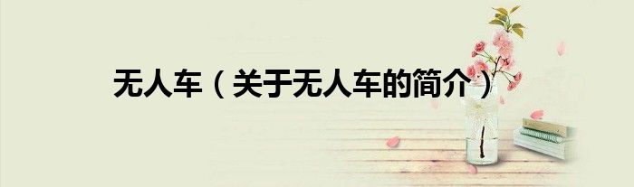 無人車（關(guān)于無人車的簡介）