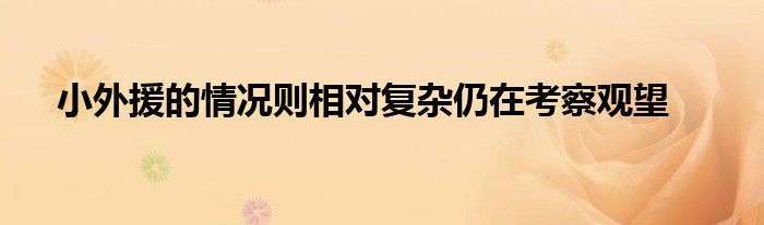 小外援的情況則相對復雜仍在考察觀望