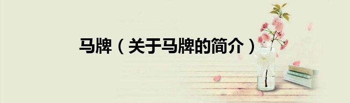 馬牌（關(guān)于馬牌的簡(jiǎn)介）