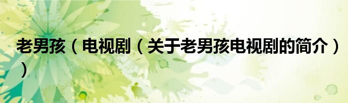 老男孩（電視劇（關于老男孩電視劇的簡介））